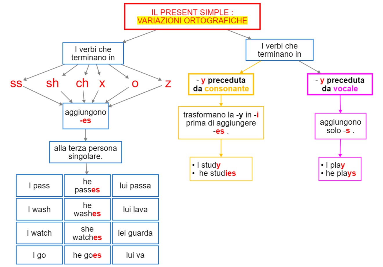 Verbo - present simple variazioni ortografiche