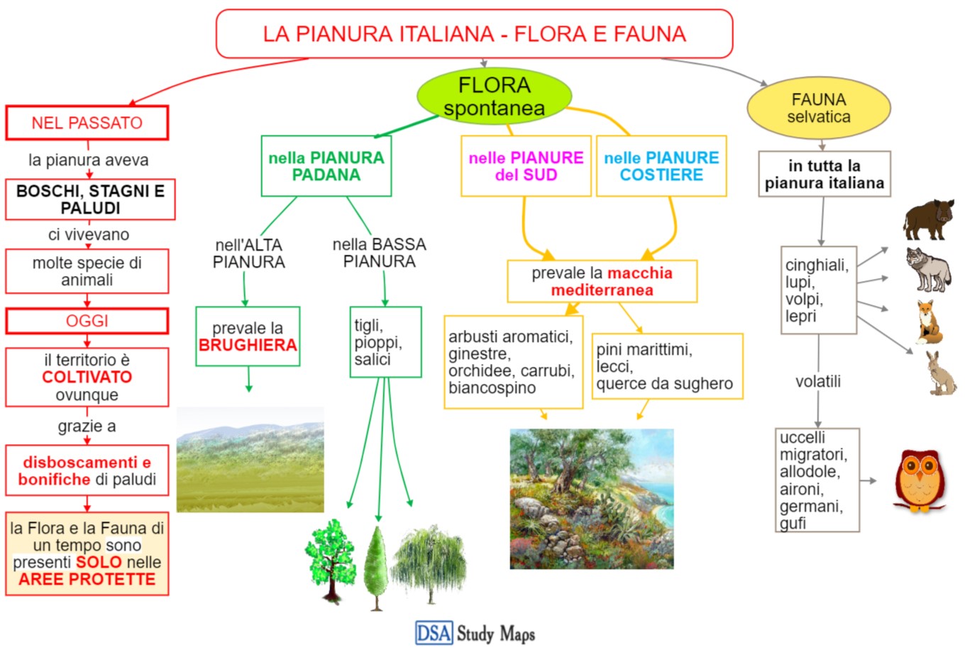 la pianura italiana - flora e fauna