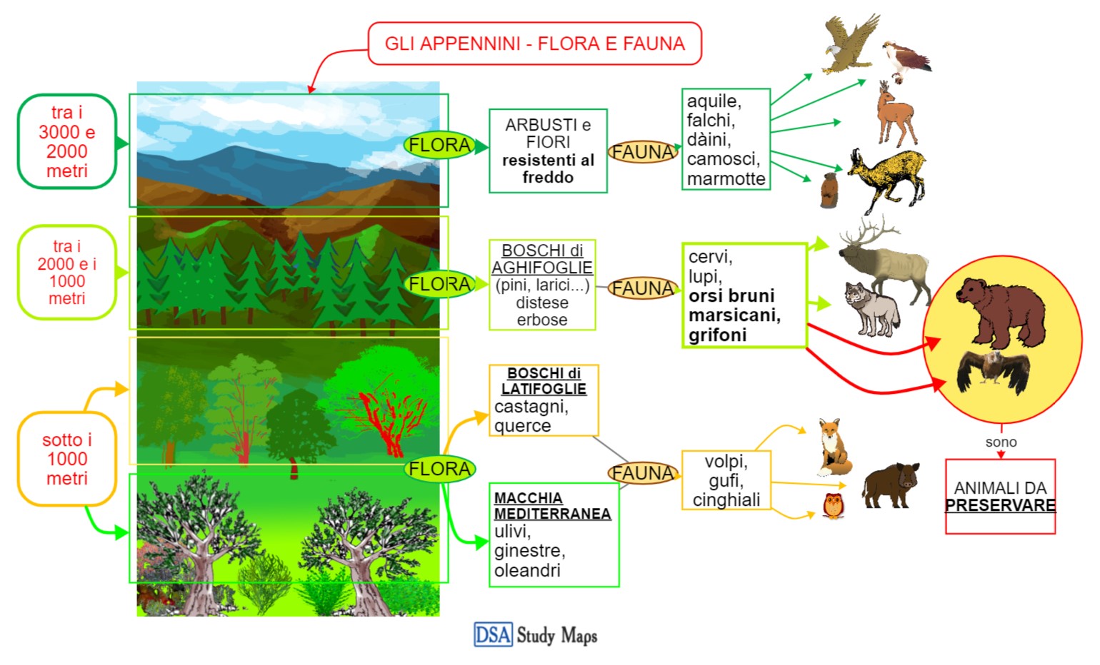 gli Appennini - flora e fauna