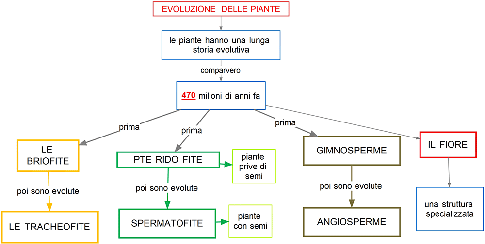 evoluzione delle piante