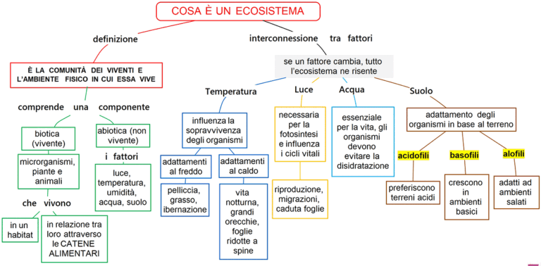 che cos’è un ecosistema - Mappa concettuale